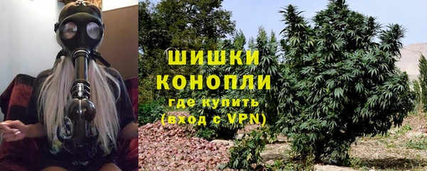 ПСИЛОЦИБИНОВЫЕ ГРИБЫ Заволжье