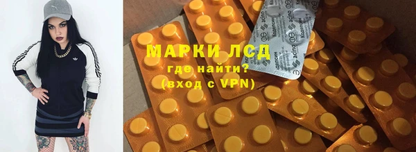 ПСИЛОЦИБИНОВЫЕ ГРИБЫ Заволжье