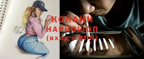 ПСИЛОЦИБИНОВЫЕ ГРИБЫ Заволжье