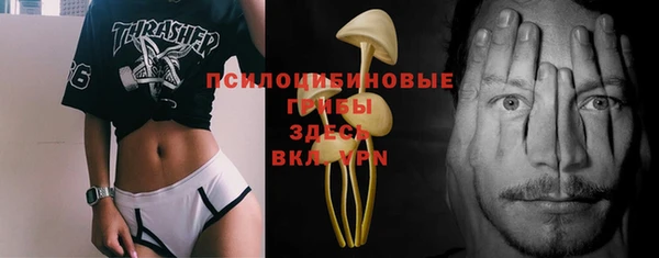 ПСИЛОЦИБИНОВЫЕ ГРИБЫ Заволжье