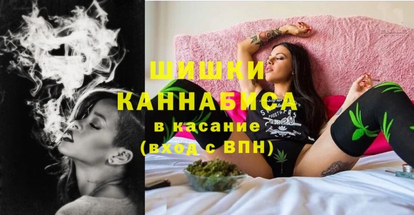 ПСИЛОЦИБИНОВЫЕ ГРИБЫ Заволжье