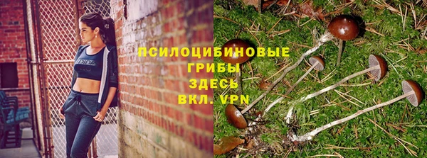 кристаллы Заволжск