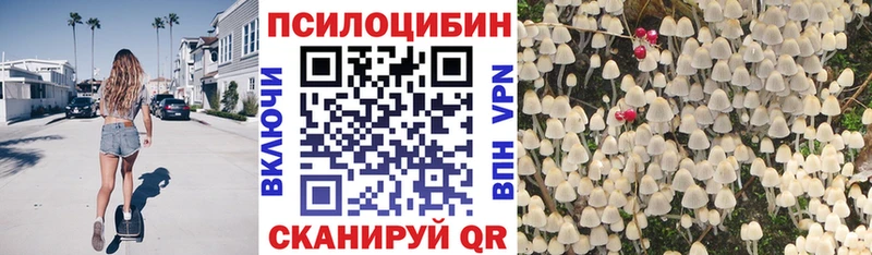Купить  Лабытнанги  Псилоцибиновые грибы мицелий 